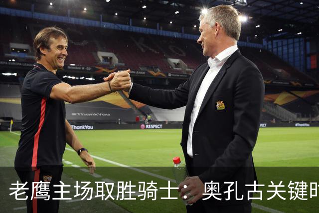 老鹰主场取胜骑士：奥孔古关键时刻表现突出